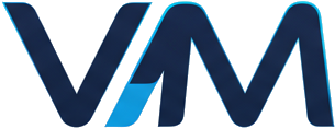 VeritasMetric Logo